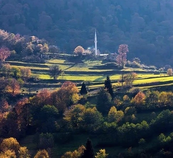 Trabzon 2
