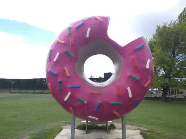 Springfield 4
