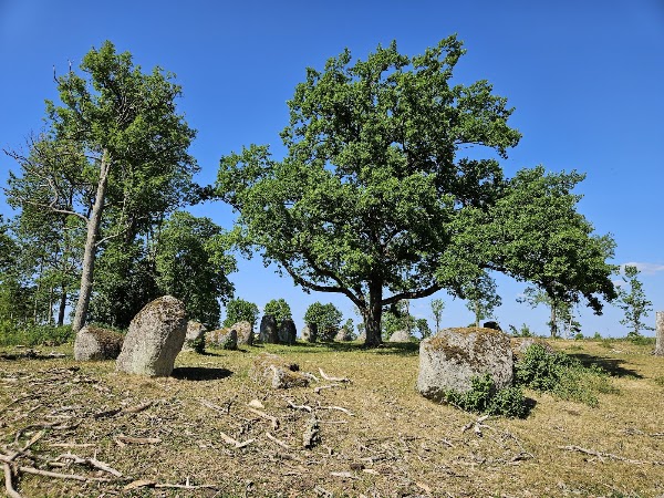 Nässja Domarring