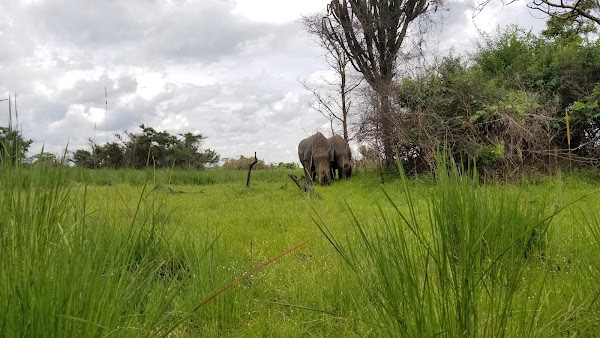 Ziwa Rhino and Wildlife Ranch 4