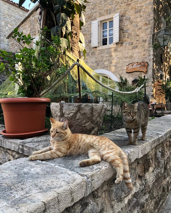 Old Town 3