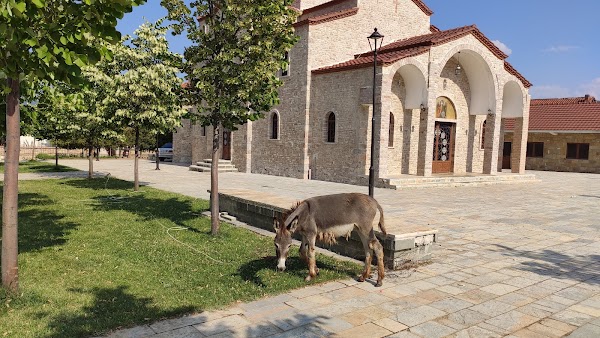 Prespa National Park 4
