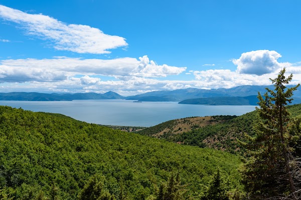 Prespa National Park 3