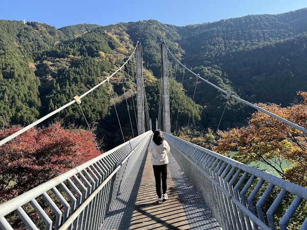 Minami Alps Sesso Otsuribashi (Big Suspension Bridge) 1