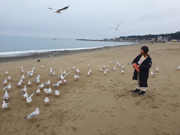 신창간이해수욕장 2