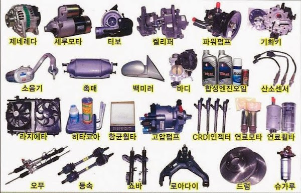 동일상사