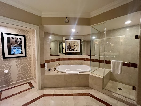 The Venetian Las Vegas 4
