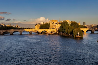 Pont Neuf 7