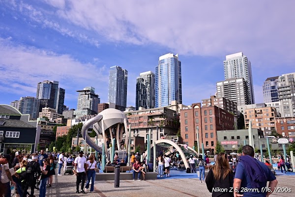 Pier 58 5