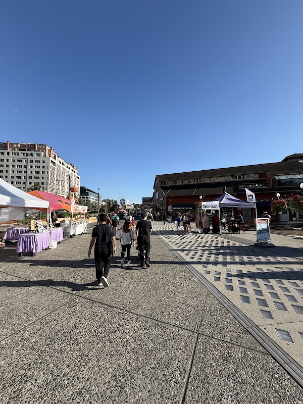 Pier 58 3