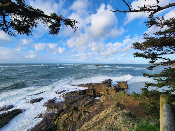 Cape Arago State Park 4