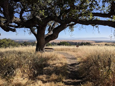 Pearson-Arastradero Preserve 1