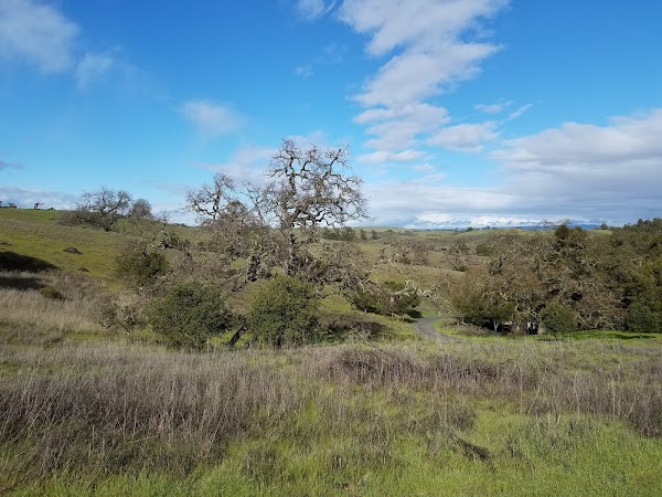 Pearson-Arastradero Preserve 3
