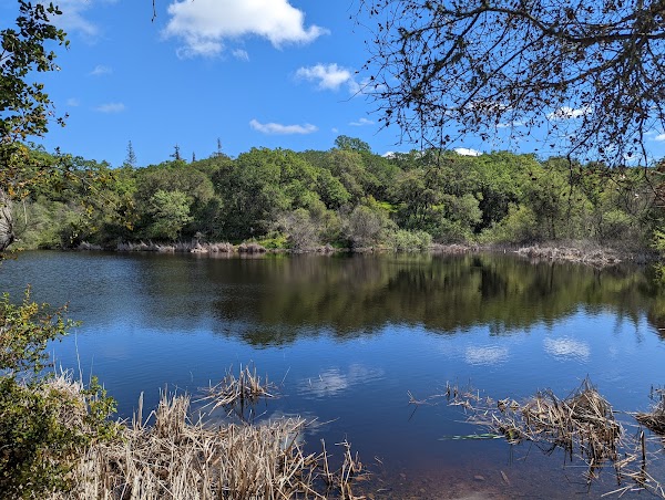 Pearson-Arastradero Preserve 2