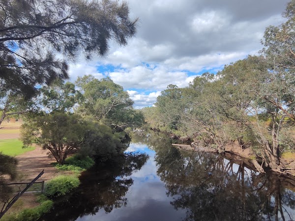 Swan Valley 2