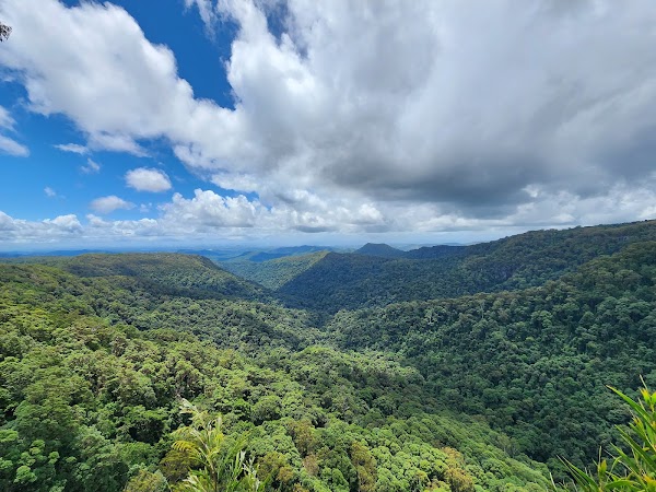 Springbrook National Park 4