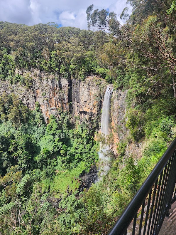 Springbrook National Park 3