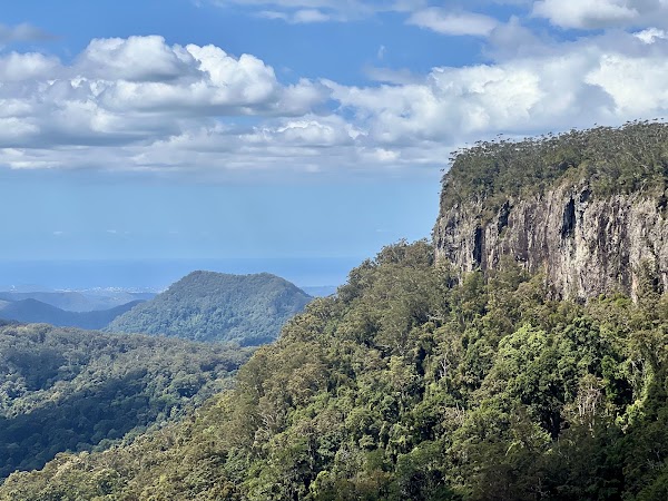 Springbrook National Park 2