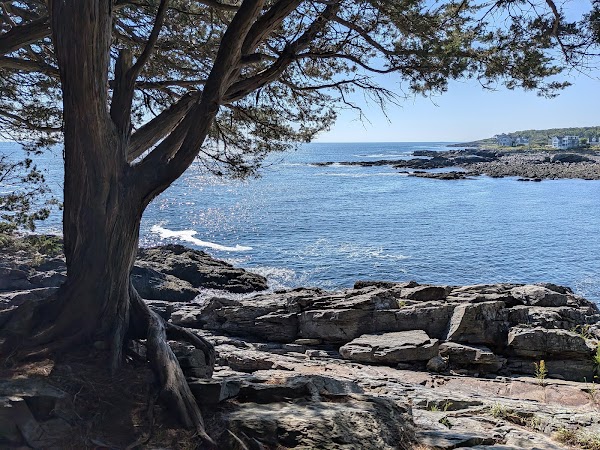 Perkins Cove Bookshop 3