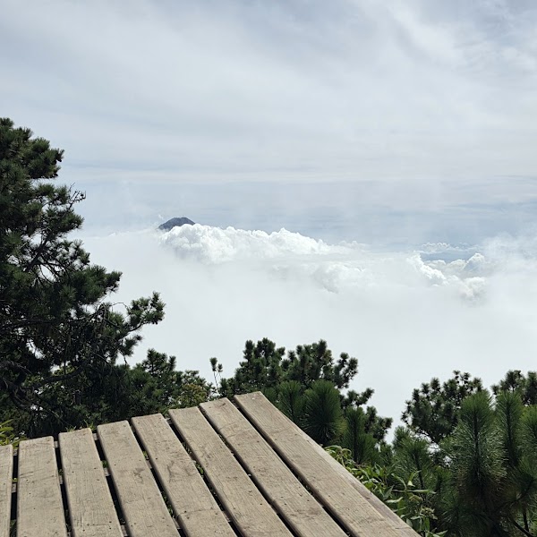 Acatenango Base Camp Area 3