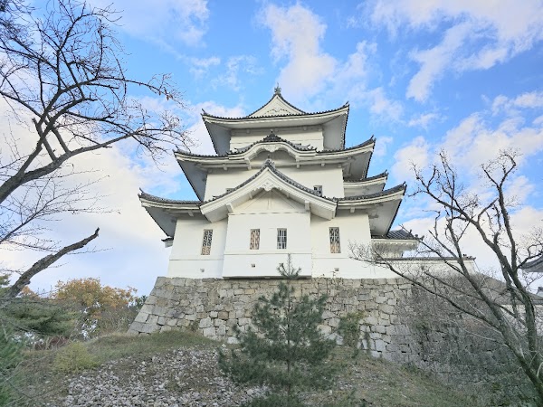 Iga Ueno Castle