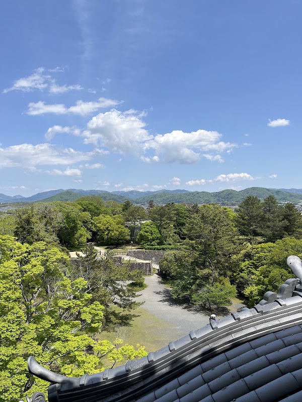 Iga Ueno Castle 3