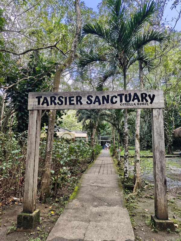 Philippine Tarsier Sanctuary 3