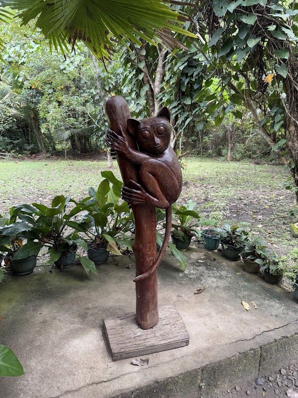Philippine Tarsier Sanctuary 2