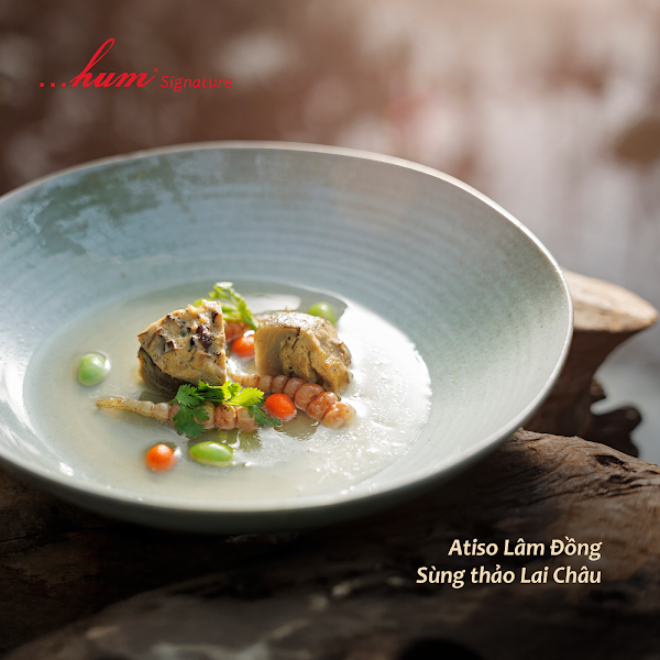 Hum Signature - Healthy Veggies Delights 5