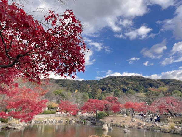 Maruyama Park Japanese Gardens 1