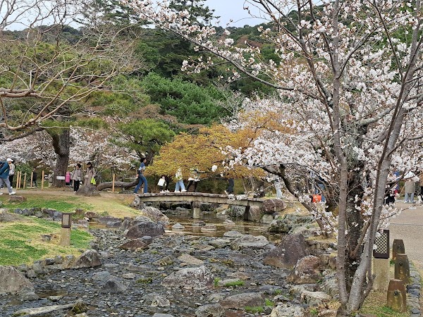 Maruyama Park Japanese Gardens 3
