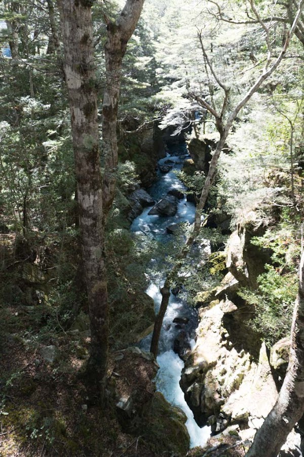 Mid Caples Hut 2