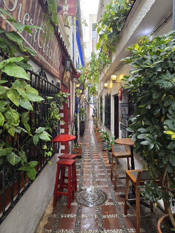 Bar El Estrecho 3