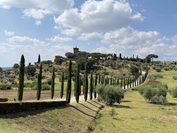 Cypress Road Tuscany