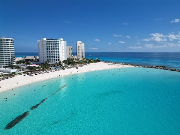 Playa Forum