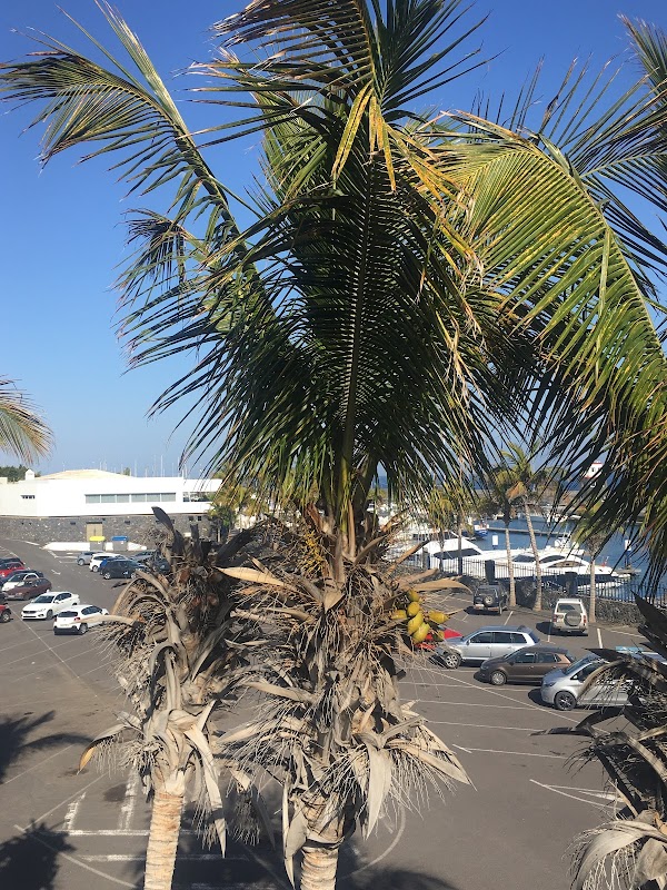 Lanzarote 2