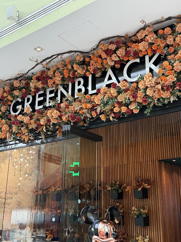 Green Black • Marina 2