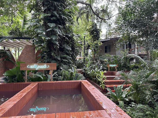 Dip - Garden Onsen, Sauna & Ice Bath 3