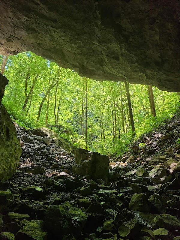 Lost Creek Trailhead - Scott's Gulf Wilderness State Park 2