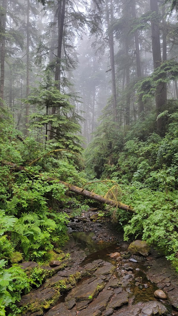 Juan de Fuca Marine Trail 3