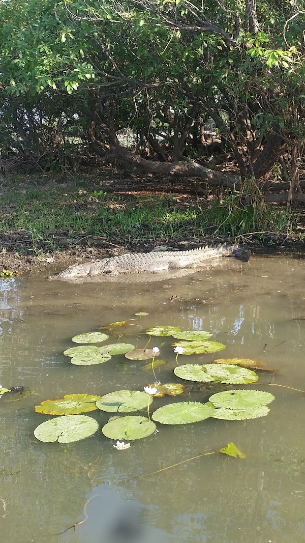 Kakadu 4
