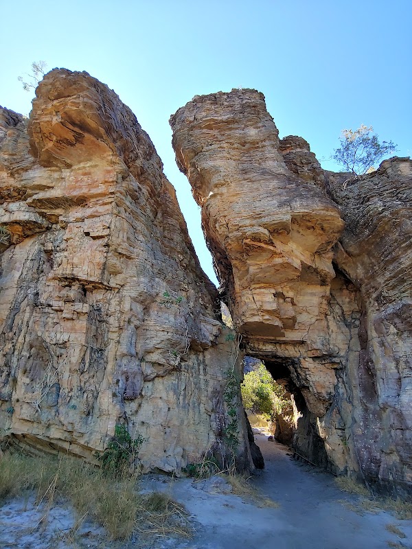 Kakadu 3