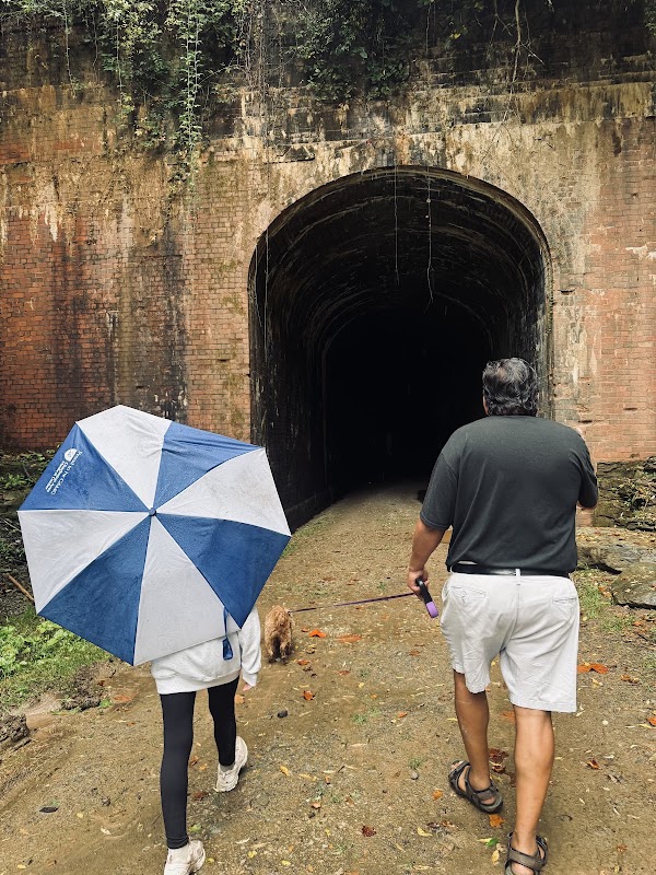 Silver Run Tunnel #19 2