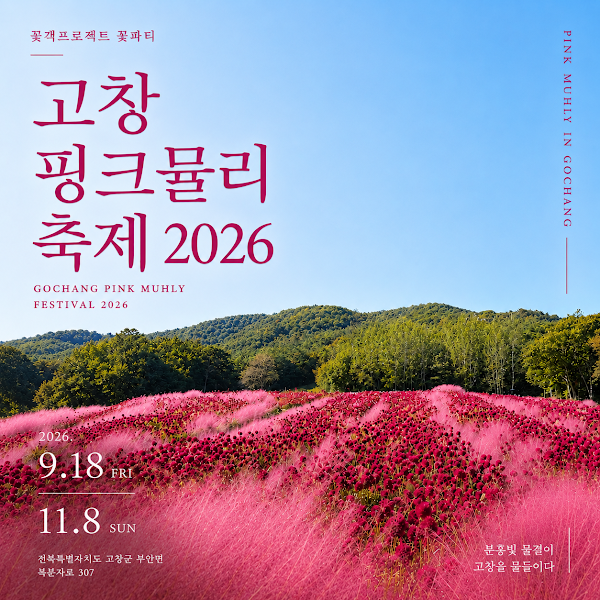 고창 핑크뮬리 축제 1