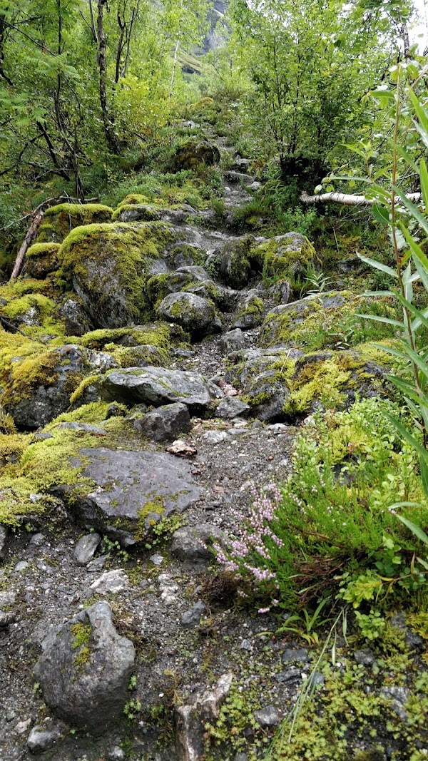 Bøyabreen 4