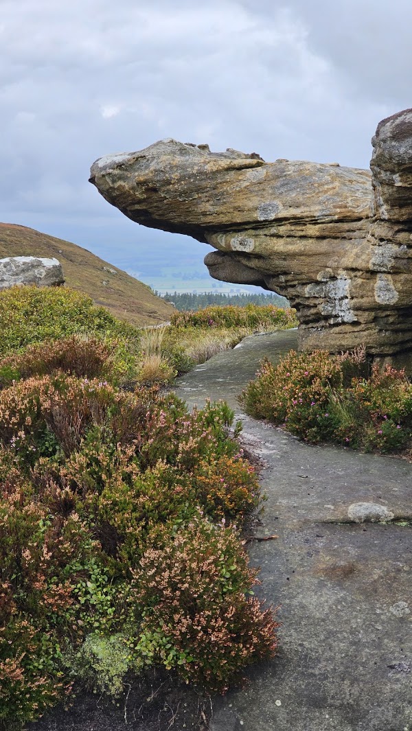Simonside Hills