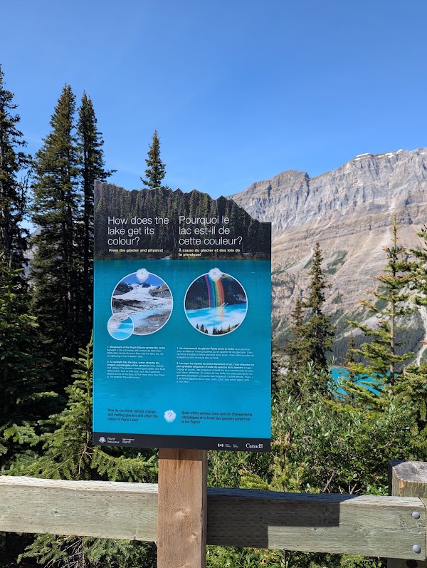 Peyto Lake Viewpoint 4