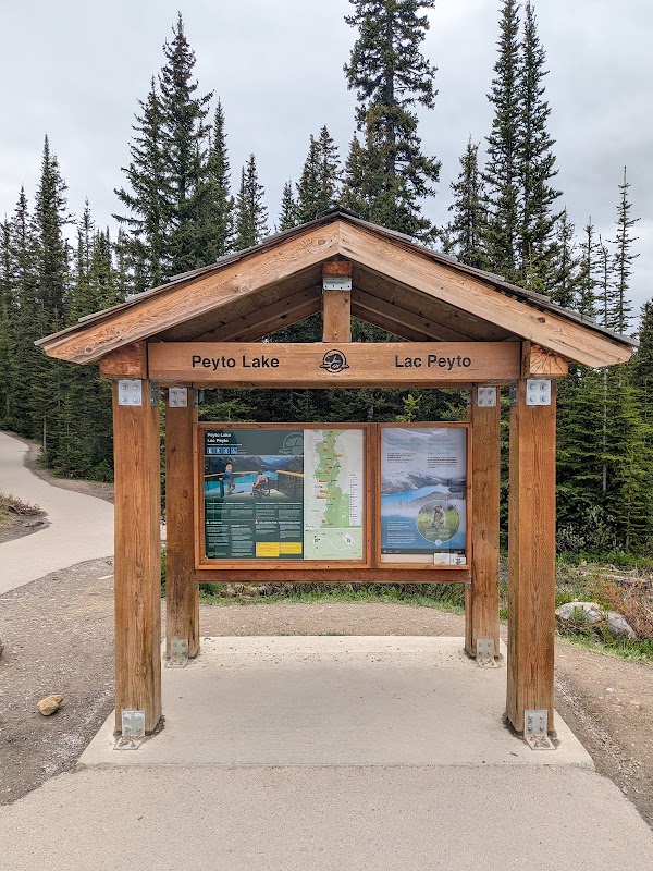 Peyto Lake Viewpoint 2