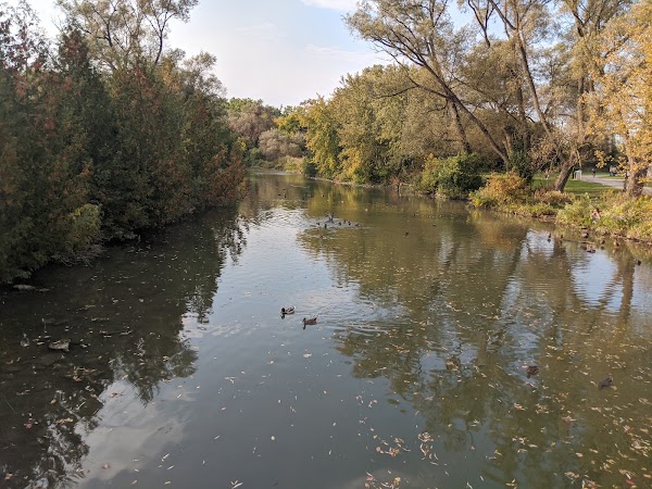Wesley Brooks Conservation Area 5