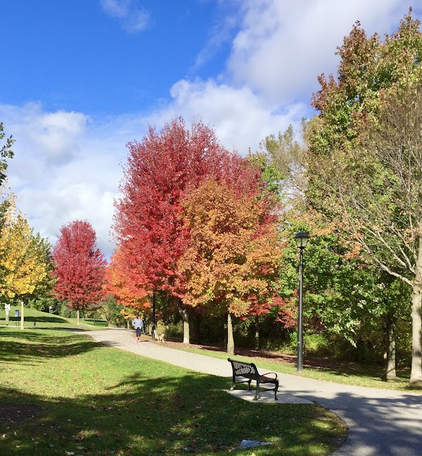 Wesley Brooks Conservation Area 4